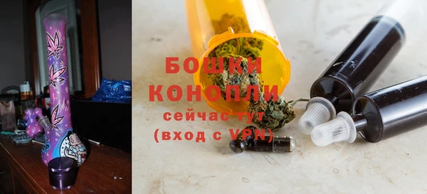 стаф Елизово