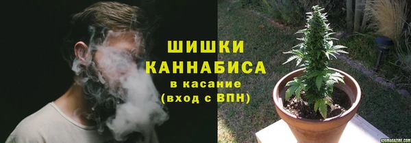 стаф Елизово