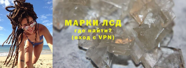 стаф Елизово