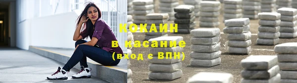 эйфоретик Ельня
