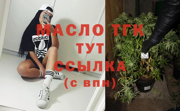 эйфоретик Ельня