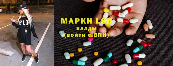 ПСИЛОЦИБИНОВЫЕ ГРИБЫ Елабуга