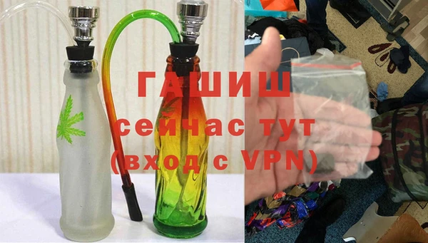 стаф Елизово