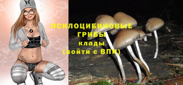 mix Видное