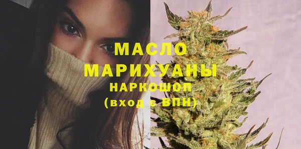 эйфоретик Ельня