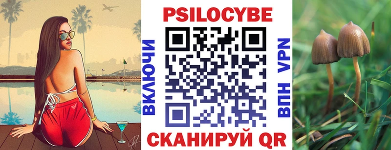 купить  сайты  Зверево  Псилоцибиновые грибы ЛСД 