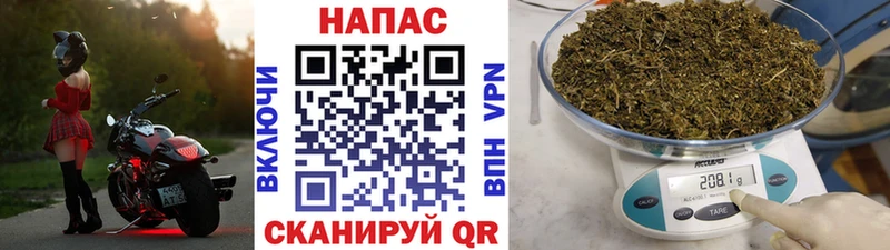 Бошки марихуана гибрид Зверево